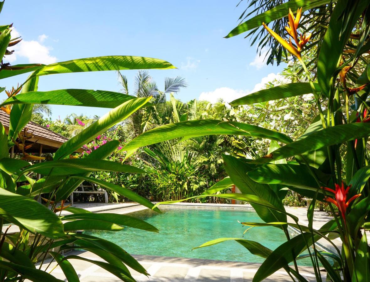 Ibludan Hotel Senggigi Exteriér fotografie