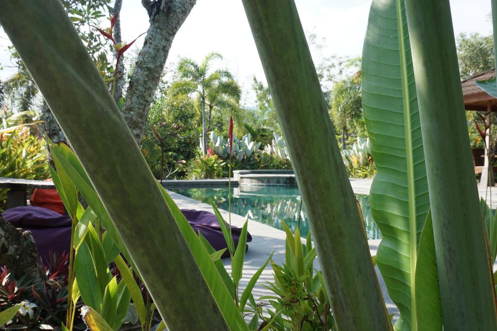 Ibludan Hotel Senggigi Exteriér fotografie