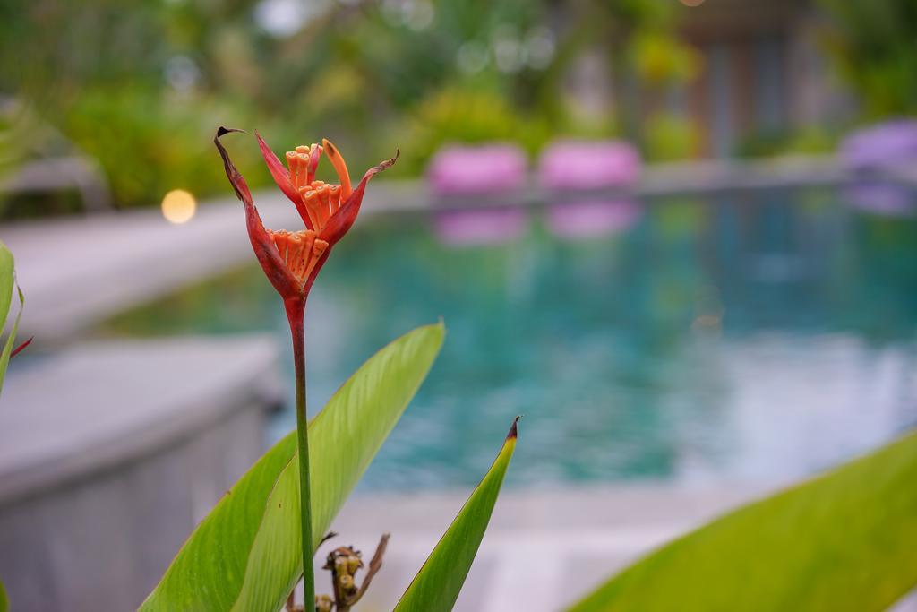 Ibludan Hotel Senggigi Exteriér fotografie