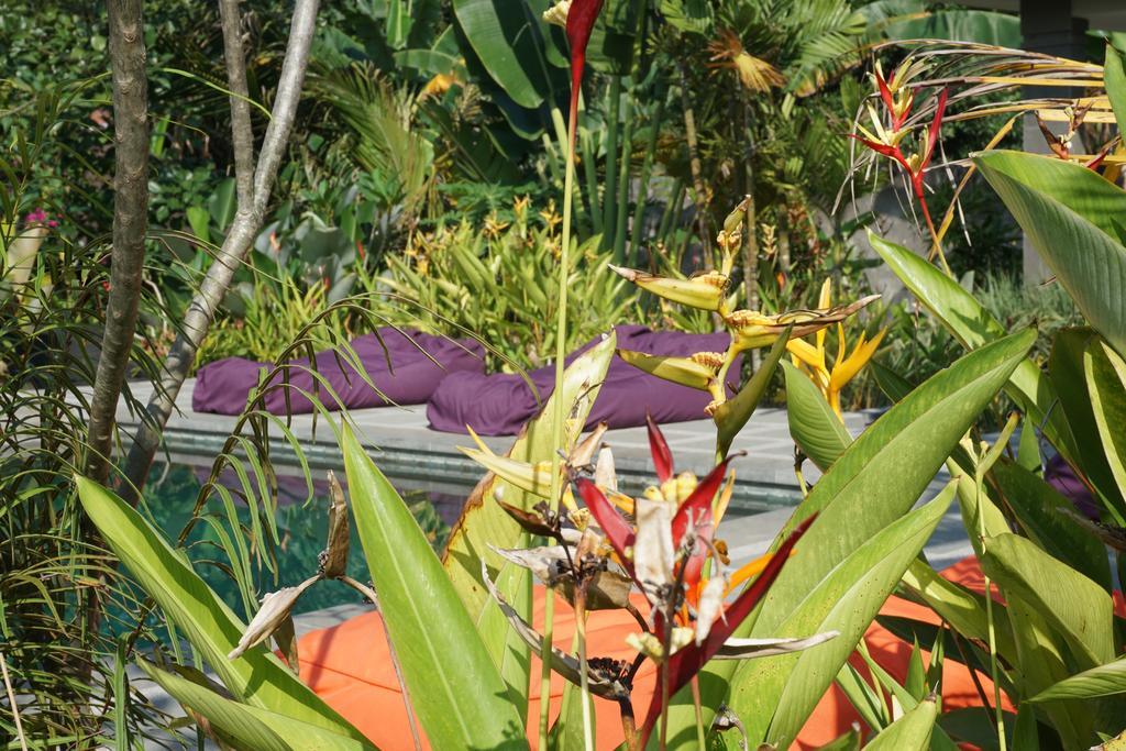 Ibludan Hotel Senggigi Exteriér fotografie